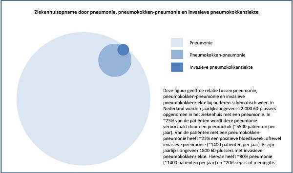 Pneumokokkenvaccinatie Voor Ouderen IB 04 2019 RIVM